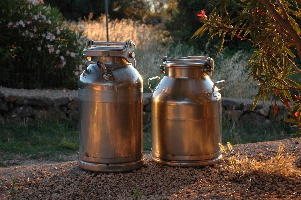 Agriturismo Codula Fuili Cala Gonone Luaran gambar