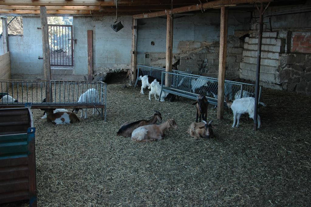 Agriturismo Codula Fuili Cala Gonone Luaran gambar